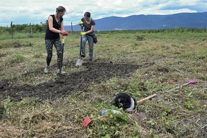NATO Project Tests Perennial Grass to Clean Ukraine’s War-Hit Soil