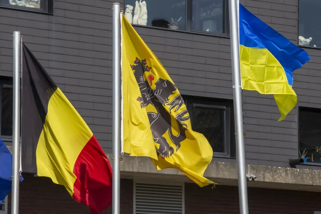 Ukraine and Belgium: A Shared History Spanning More Than a Century