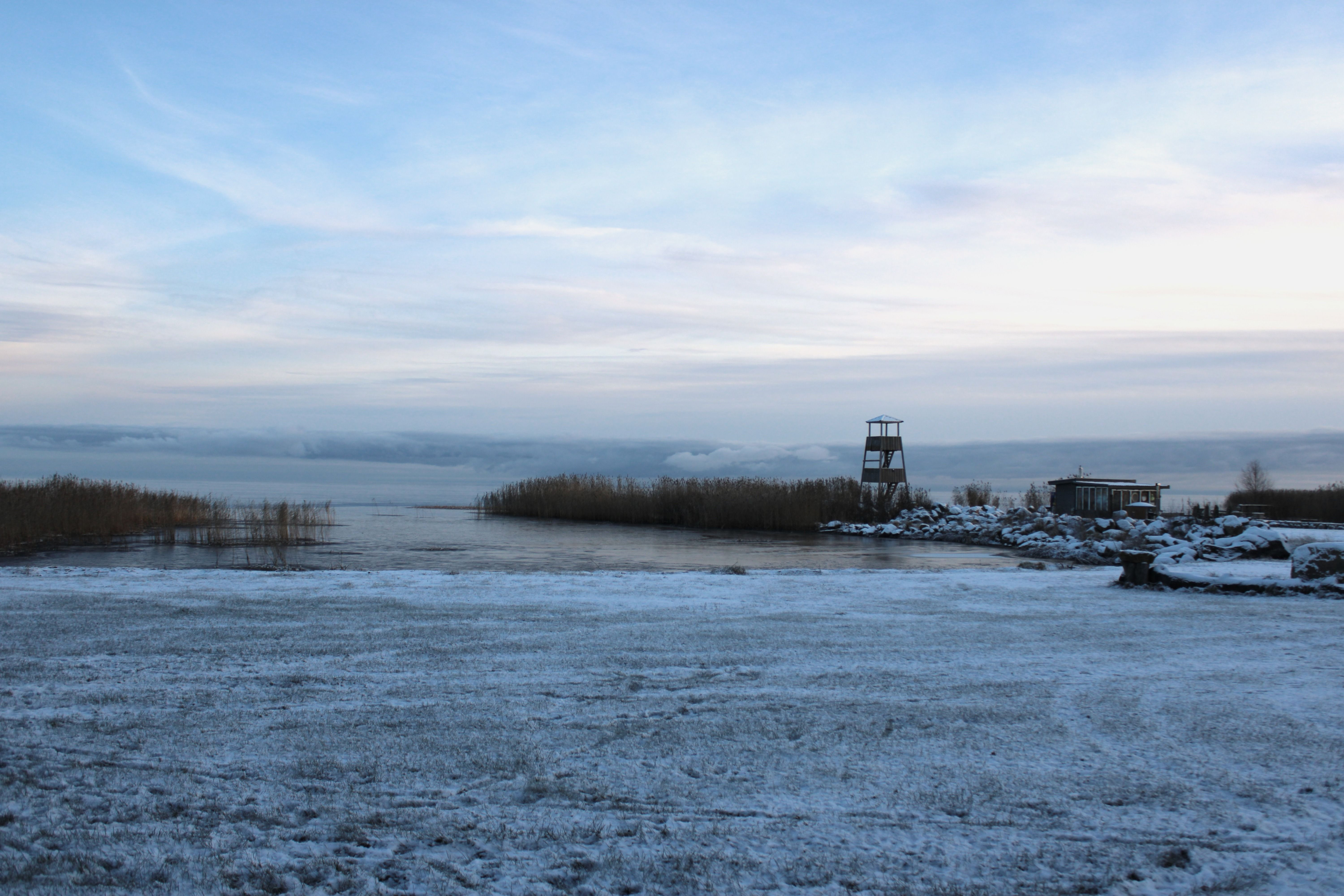 Estonia Condemns Russia’s Unannounced Live-Fire Border Exercise