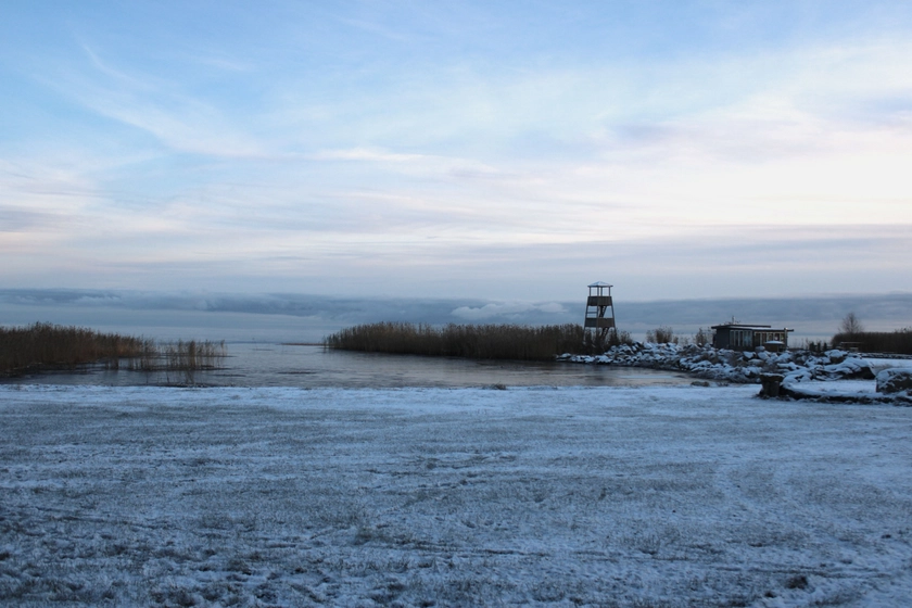 Estonia Condemns Russia’s Unannounced Live-Fire Border Exercise