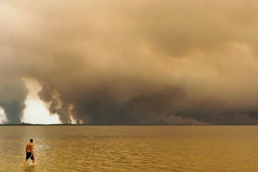 Європа не встигає гасити масштабні лісові пожежі — Єврокомісія