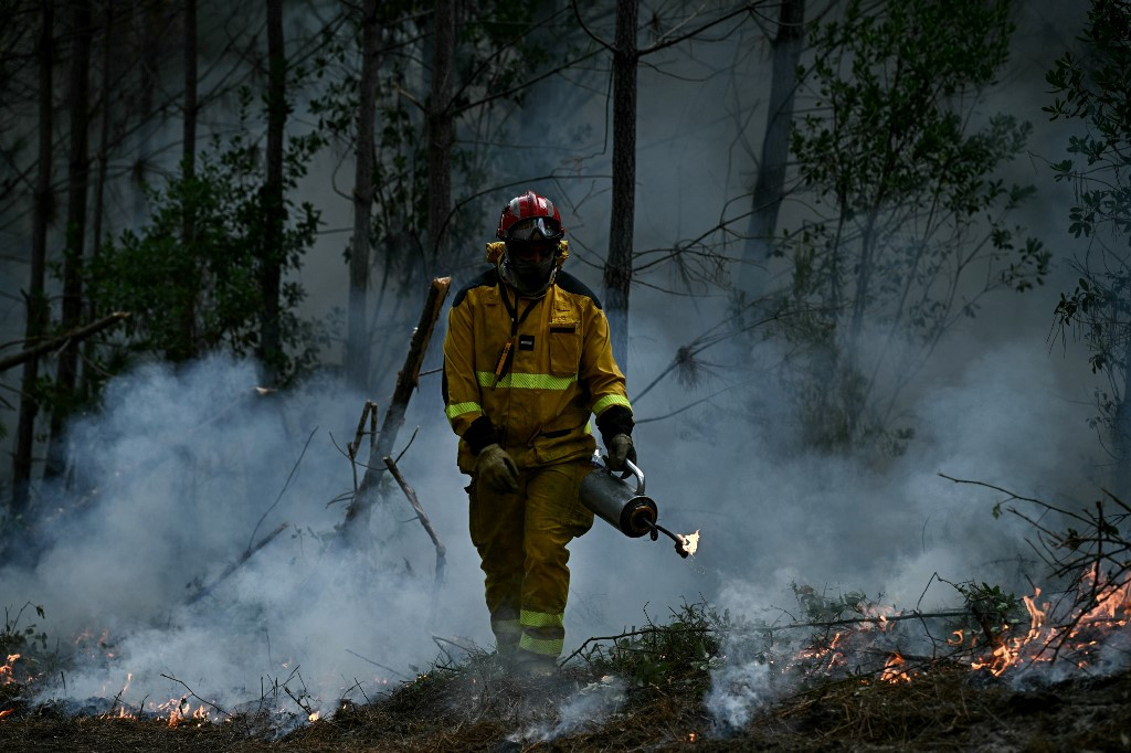 Ukraine Sends Firefighters to Help France Battle Wildfires