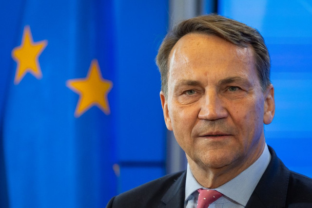 Poland Proposes European Legion With Ukrainian Veterans