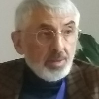 Vladimir Socor
